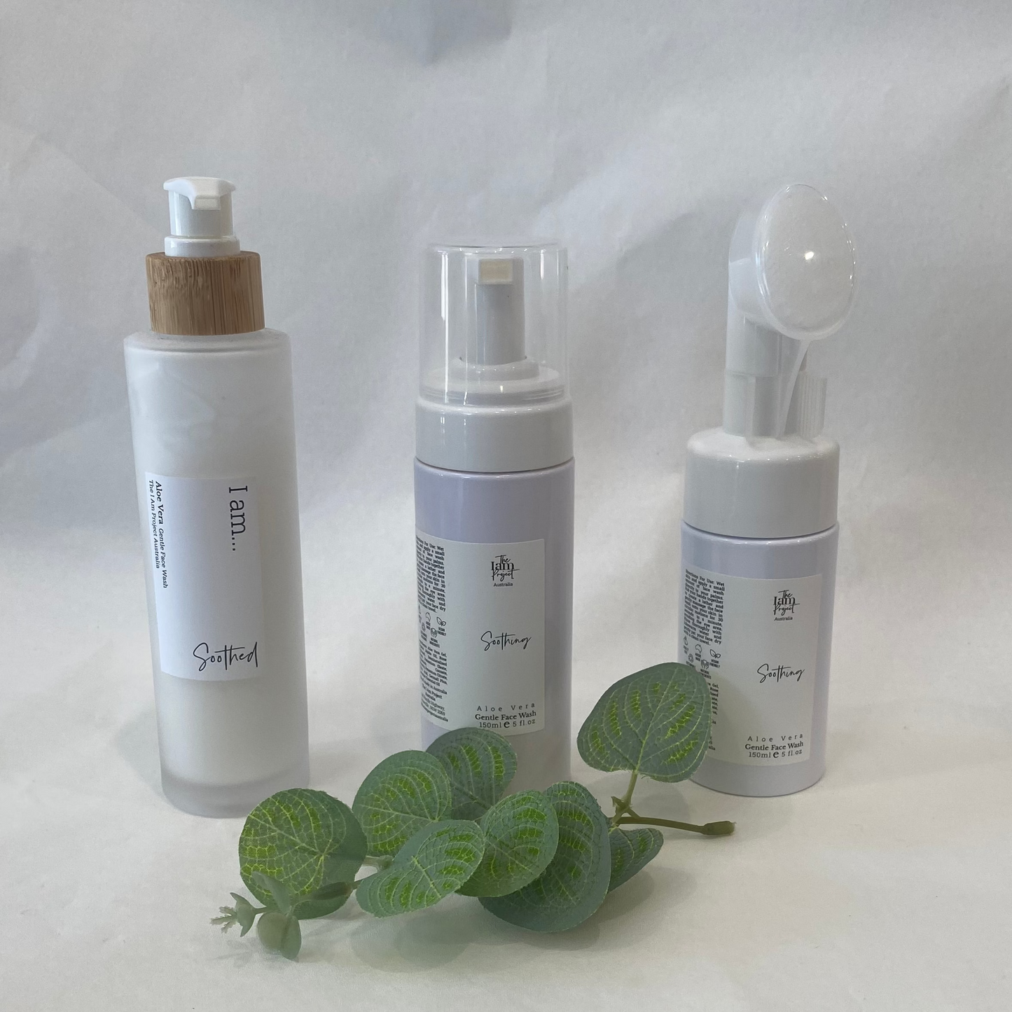 Three skincare bottles with a small plant on a white background