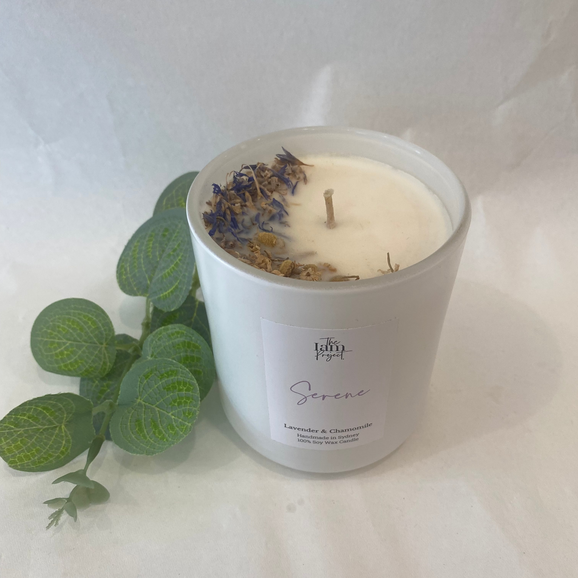 White candle in a glass container with dried lavender on a white background