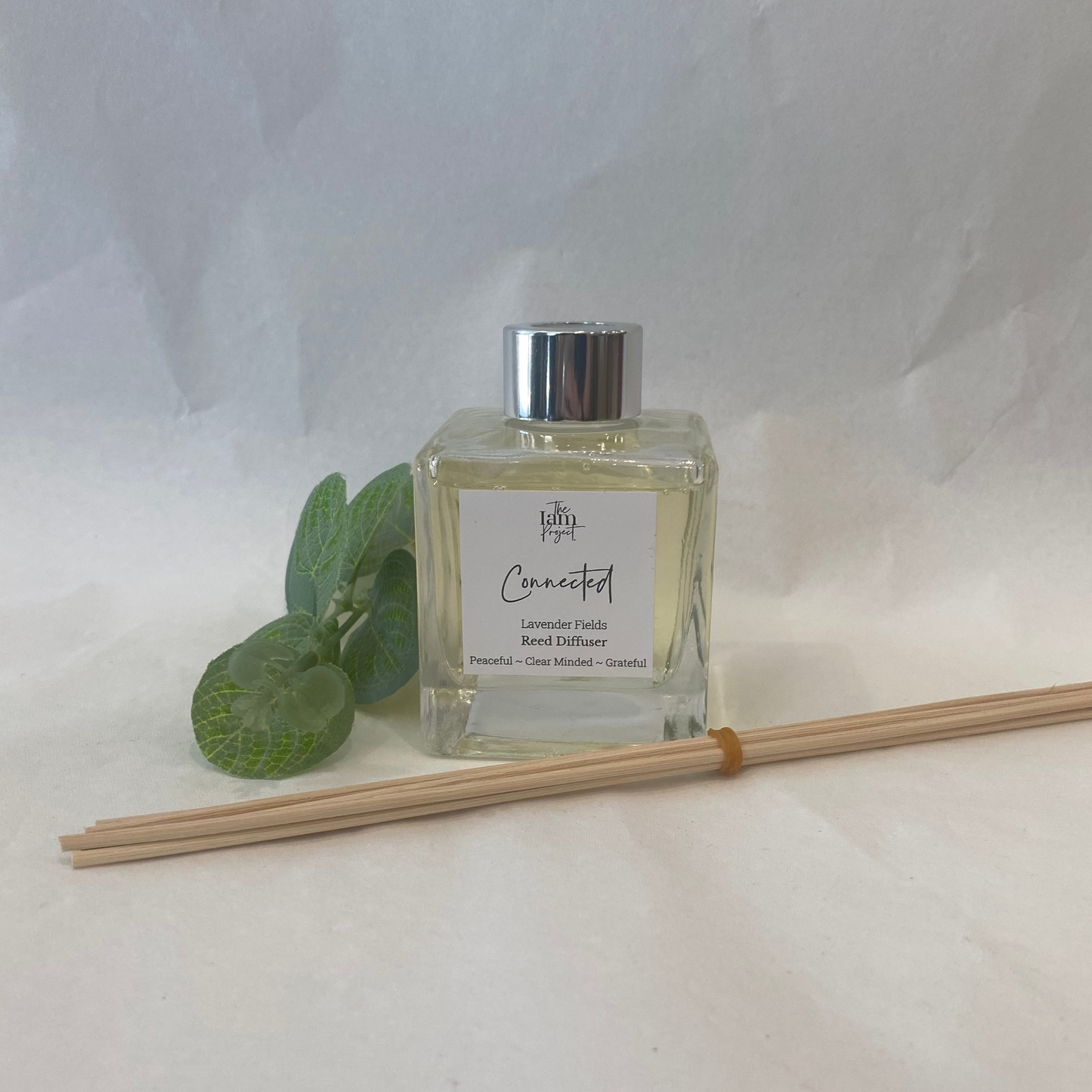 Reed diffuser with eucalyptus leaves on a white background